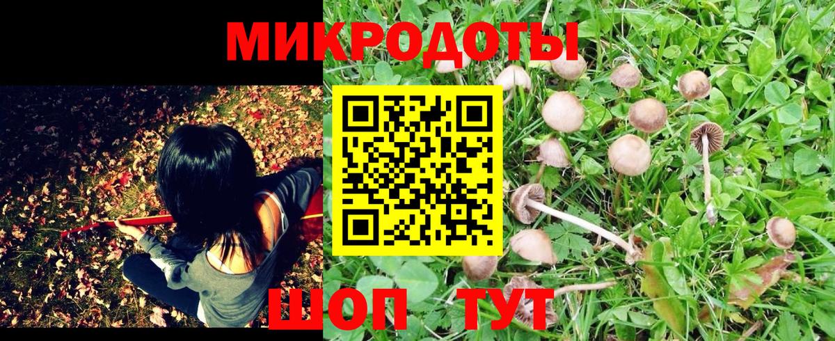 Псилоцибиновые грибы прущие грибы  Вход с VPN  Псилоцибиновые грибы Magic Shrooms  купить   Барнаул 